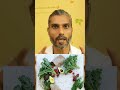 If u have gout problem listen this #diet #food #ytshorts #shorts #gout #healthyfood #ayurveda
