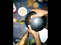 MAAJABU YA CHUNGU KUMKAMATA MCHAWI KUZIMA KESI NA KUMPIGA ADUI 