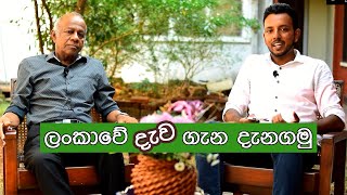 Properties of Timber | Discussion with Mr. Senarathna | In Sinhala | hevaenz.lk