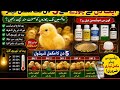چکس کی اموات ختم کریں | ویکسین سے پہلے مکمل نگہداشت اور علاج
