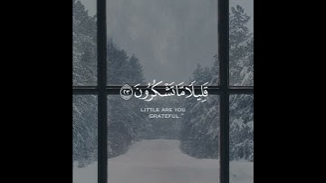 ( قُلْ هُوَ الَّذِي ذَرَأَكُمْ فِي الْأَرْضِ وَإِلَيْهِ تُحْشَرُونَ  ) شريف مصطفى سورة الملك - 24