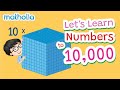 Understanding Place Value