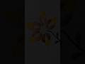 Beautiful Hand Embroidery Flower Design | Easy Flower Embroidery Tutorial