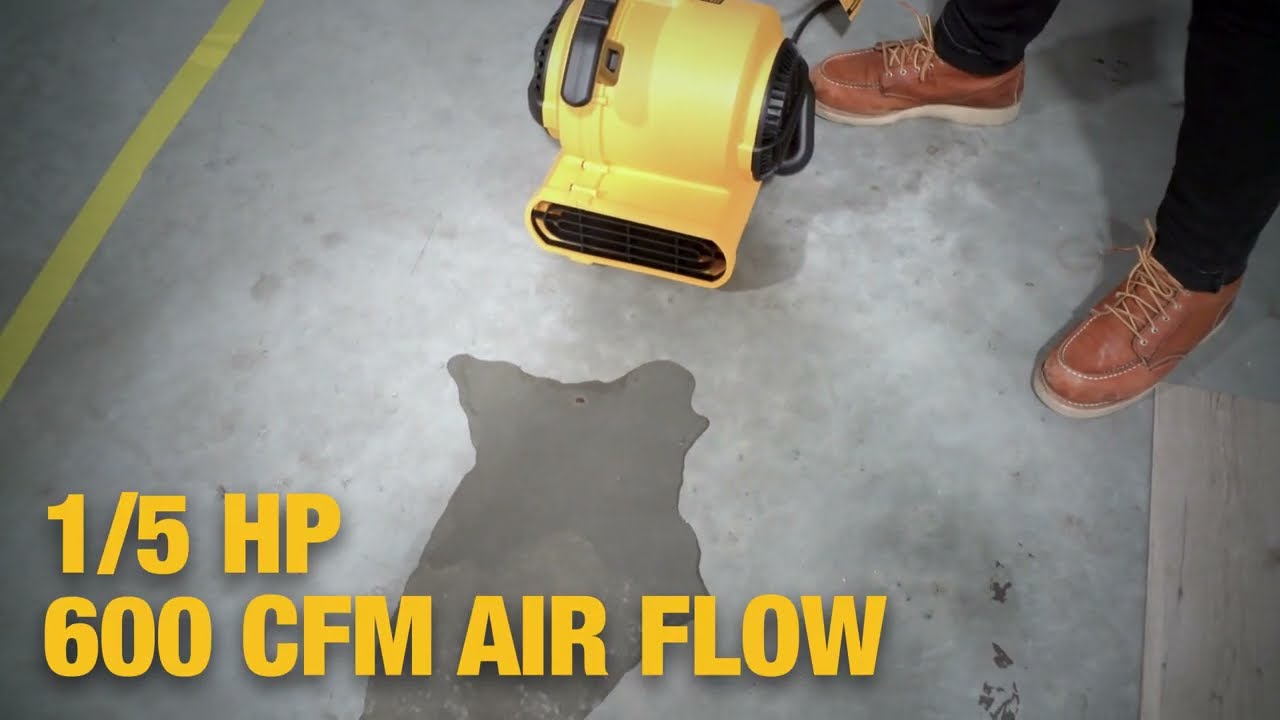 DEWALT® Powerful and Quiet Air Mover with 600 CFM - DXAM 2260