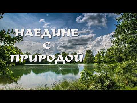 С Добрым утром! ❤️Наедине с природой... ❤️Красивая музыкальная открытка!❤️