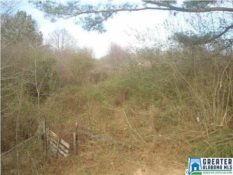 47 8 ACRES, Blountsville, AL home video tour