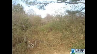 47 8 ACRES video tour