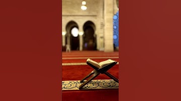 سورة المائدة ❤️ | القارئ حسام الدين عبادي