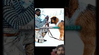 The loyalty of dog 🔚😲 Wait for end #viralvideo #shortsfeed #short  #movie #shortclip