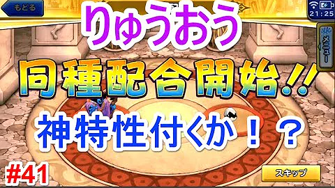 どこでもモンパレ 神竜 どこでもモンパレ 神竜