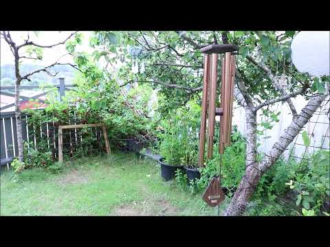 Vindspel Nature`s Melody 42" Guld