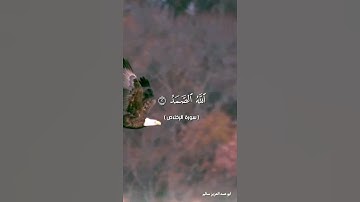 سورة الإخلاص🌿ابو عبد العزيز سالم💖حالات واتس اب قران💚آيات قرانية قصيرة🍃ستوريات انستقرام🌷 Quran status