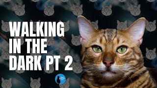 More walking in the dark with your cat #cat #cattraining by Your Purrfect Cat 17 views 9 months ago 5 minutes, 44 seconds