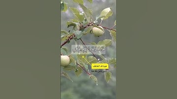 سورة ص الاية 50-54