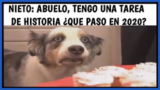 VARIED MEMES #137