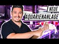 NEUE AQUARIEN AUFGEBAUT - Alles über unsere neue Aquarienanlage