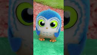 Arlo might be Cranky | Lucas the Spider