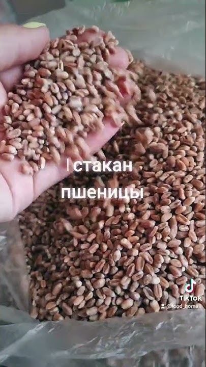 Пшеничная каша. Вкусно и полезно - YouTube