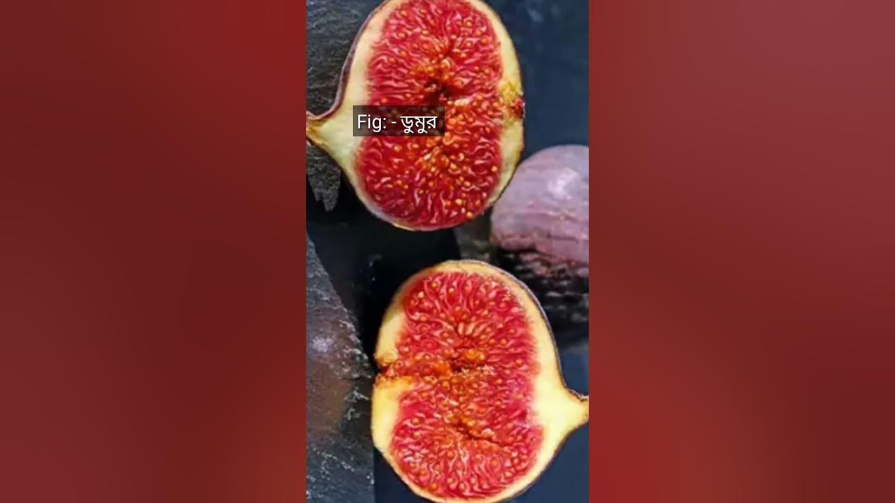 Fig Meaning In Bengali YouTube fig-meaning-in-bengali-youtube