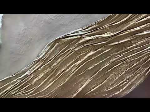 'Driftwood Serenity'3D Earth