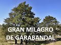 Posible contenido nunca desvelado del Gran Milagro. Actualización Escatología