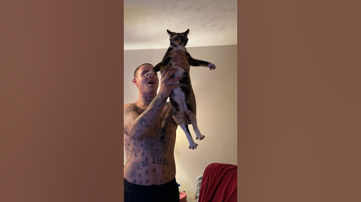 Boyfriend Attempts To Exorcise Cat's Demon || ViralHog