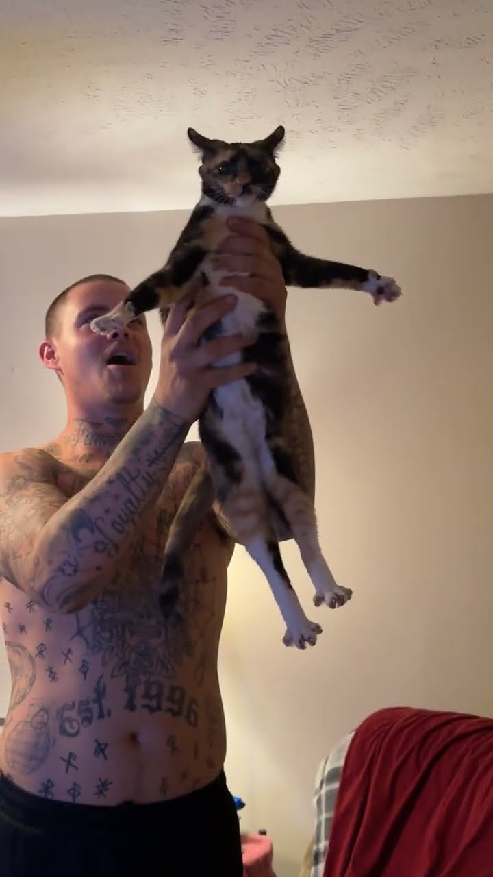 Boyfriend Attempts To Exorcise Cat's Demon || ViralHog