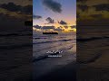 قلبي تمناك