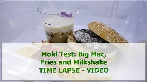 Mold Test: Big Mac, Fries and Milkshake - Time Lapse