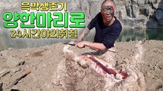 (윽박 생존기) 썩은 양 한 마리 도축 털 덮고 영하 3도