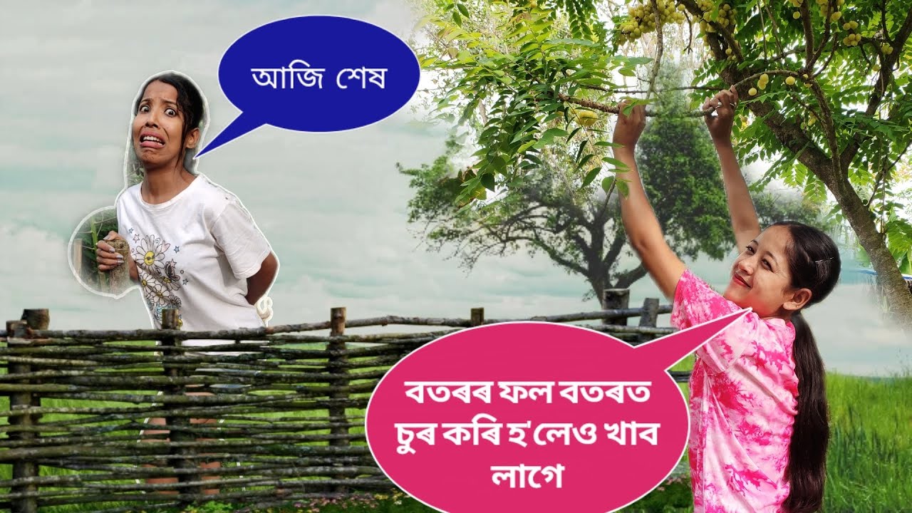 ভিডিওটি শেষলৈ চাবলৈ নাপাহৰিব আৰু আপোনালোকে এনেকৈ আনৰ বাৰীত চুৰ কৰি পাইছে নে😬