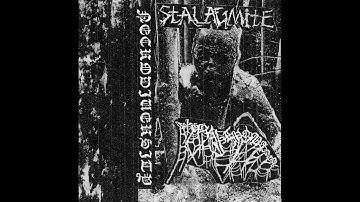 Asiratic Lithomancy/Stalagmite - Necrodiversity (2024) - 𝘚𝘱𝘭𝘪𝘵
