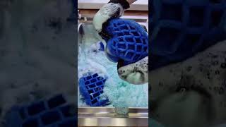 Deep Blue Sponge Foam Explosion 💙 Satisfying Sink ASMR & Soap Mixing