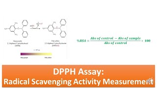 DPPH Assay: Radical Scavenging Activity Assay - Principle, Procedure, Advantages and Limitations