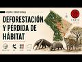 Detectá deforestación desde satélites con Python 🌎🛰️