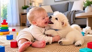 Fluffy Puppy’s Funny Surprises Make Baby Laugh Nonstop! 😂 screenshot 1