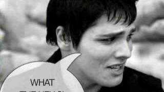 My Chemical Romance - The Return Of The Bee