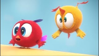 Where's Chicky? Funny Chicky | BOUNCY CASTLE | Cartoon in English for Kids | New episodes