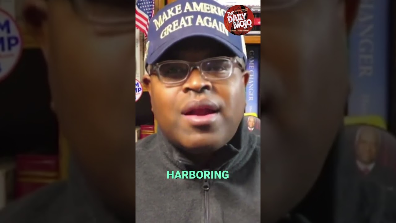 Abolish Local Government? Crazy Ideas for Accountability #shorts