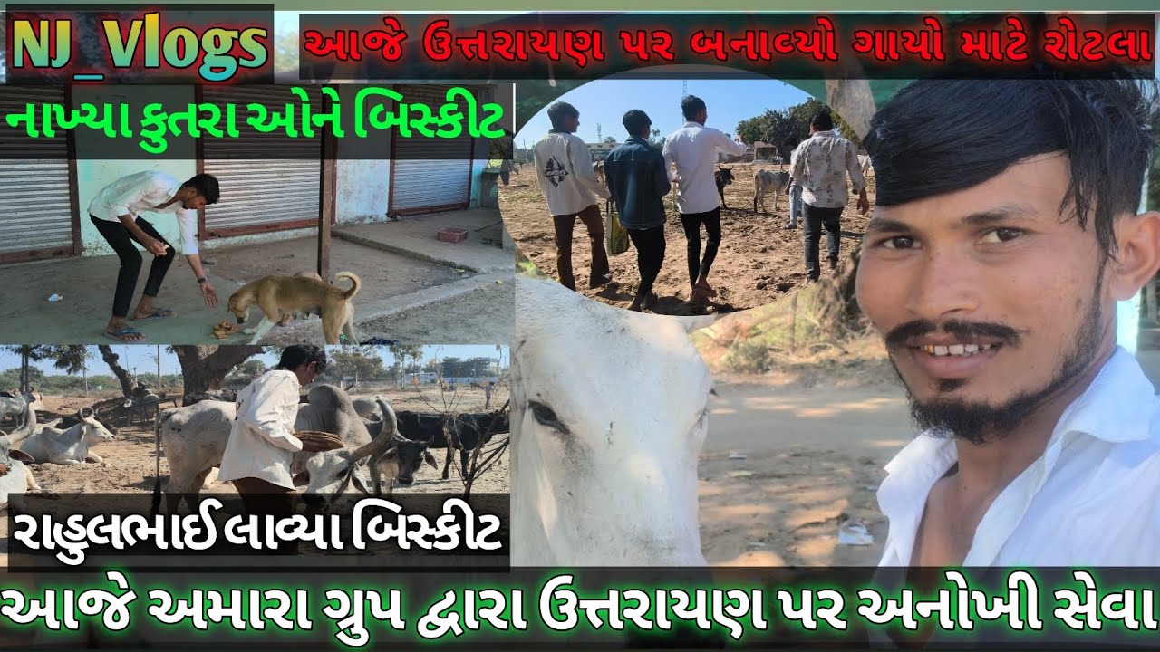 આજે અમારા ગ્રુપ દ્વારા ઉત્તરાયણ પર અનોખી સેવા 