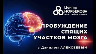 Открытый вебинар с Данилом Алексеевым «Пробуждение спящих участков мозга» 24 апреля в 20:00