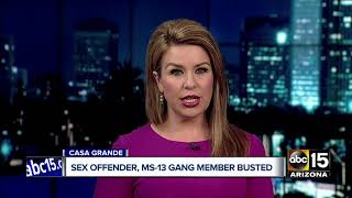Sex offender, MS-13 gang member arrested by Border Patrol agents