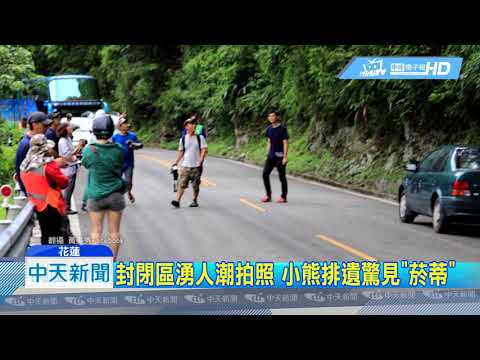 20180722中天新聞　超可愛！民眾搶拍小黑熊探頭　專家籲勿打擾