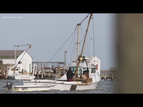 Tangier Island Documentary