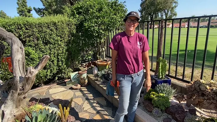 Its Walkabout Wednesday with Bentley The Succulent...
