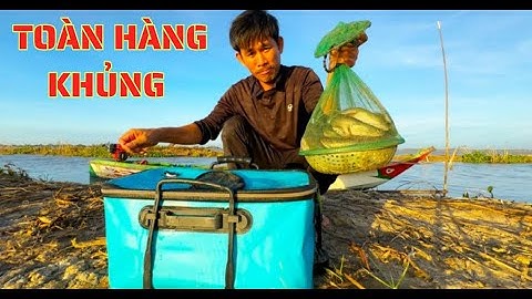 TẬP.145.cắm câu mùa gió bắc dính toàn cá lóc già không/bữa nay trúng luồn cá dính ngỡ đã tay luôn