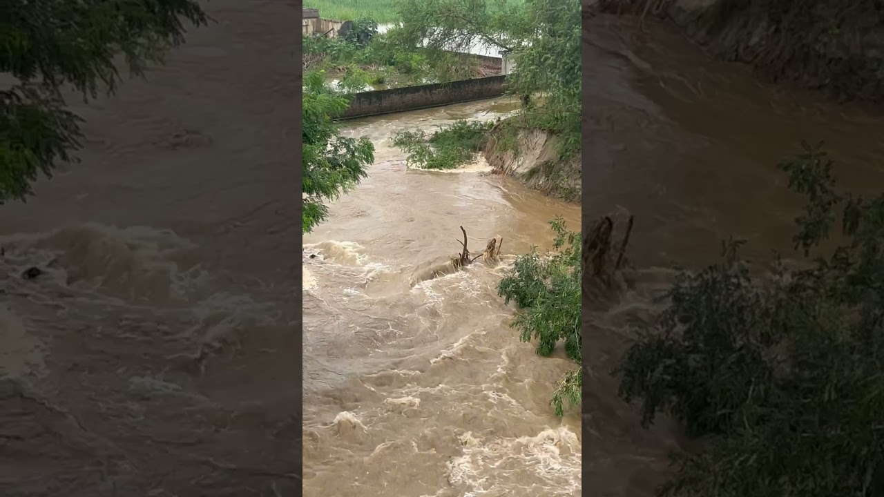 Pong dam Talwara de gate kholn te dekho ki haal hoyeya ॥ 