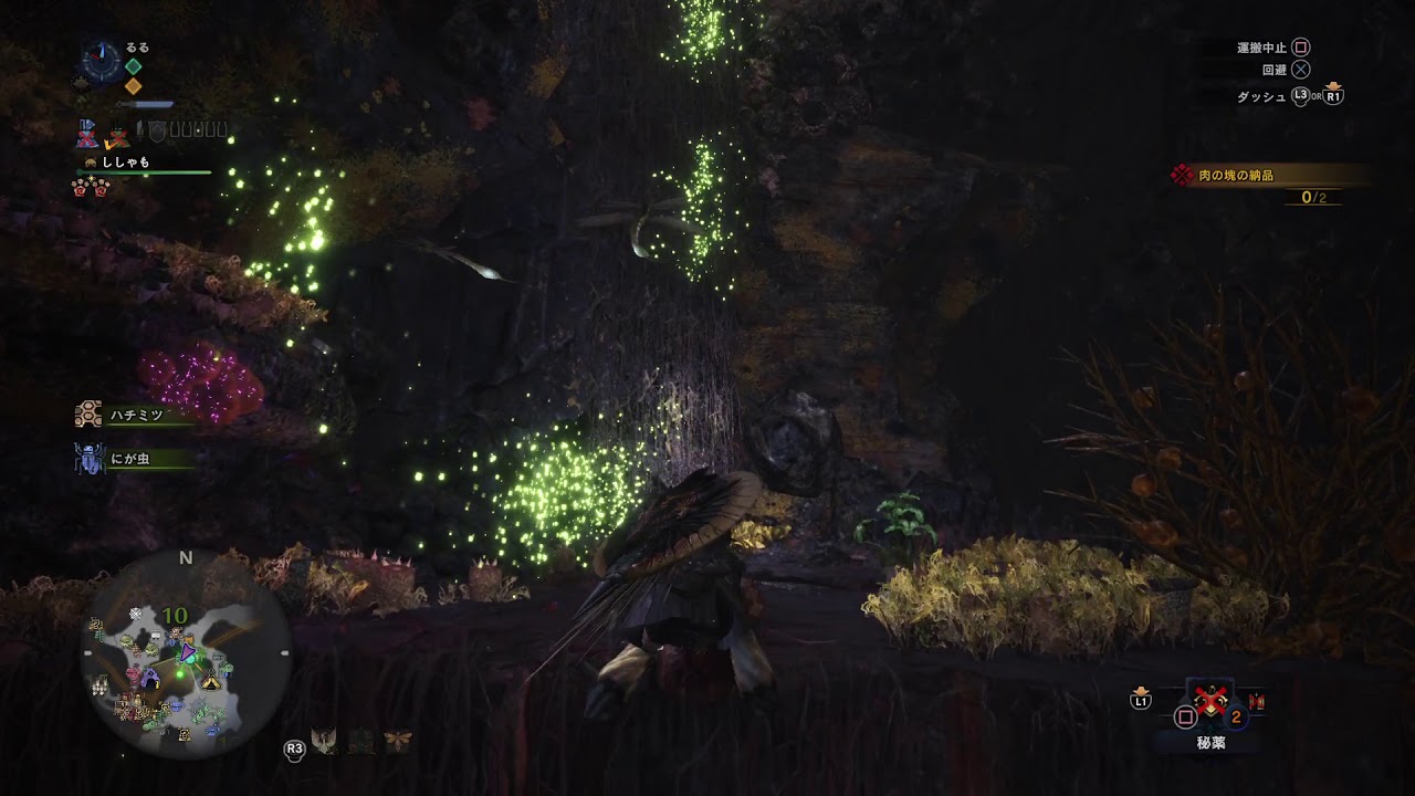 mhw 虎穴 に