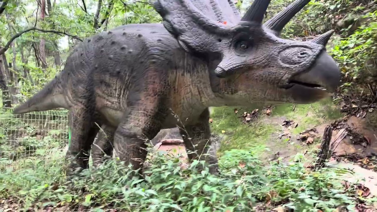 가야랜드 쥬라기 월드 21 - 231007 12:32