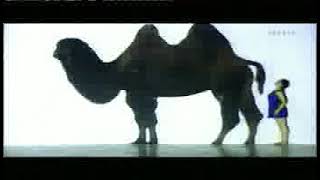 Paradis (introduction) - Montalvo Hervieu